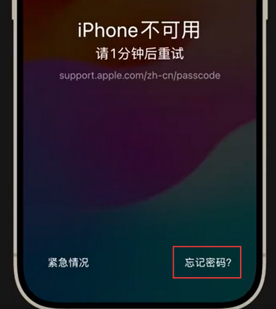 翼城苹果手机密码维修分享iPhone忘记了刚设置的密码 